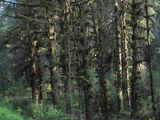IMG_4216.jpg