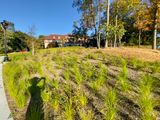 IMG_9744.jpeg