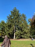 IMG_0116.jpeg