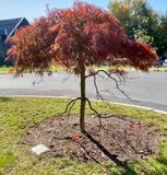IMG_0296.jpeg