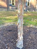 IMG_0562.jpeg
