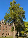 IMG_0583.jpeg