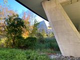 IMG_0655.jpeg