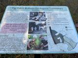 IMG_0680.jpeg