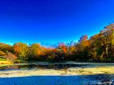 IMG_0743.jpeg