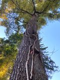 IMG_0827.jpeg
