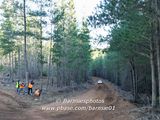 DJI_0182.jpg