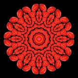 Evolved kaleidoscopic picture created with an autumn leaf