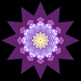Evolved kaleidoscopic picture created with a flower seen in a park in January