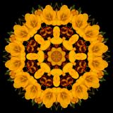 Kaleidoscopic picture created with a crocus flower seen in March