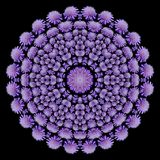 Evolved kaleidoscope created with a blue wildflower