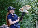 <br>Photographers Name<br>Wildlife, Creatures, Critters and Pets<br>February 15, 2025<br>Image Title