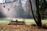 Jan Heerwagen<br>2018 Feb London Drugs <br>One Fall Morning