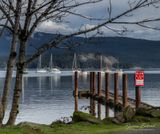 <br>Racine Erland<br>Cowichan Bay/Hecate Park-Field Trip<br>January 2023<br>Boats on the Bay