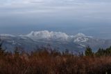 <br>Carl Erland<br>January 2023<br>Mt Arrowsmith