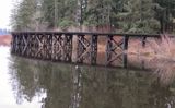 <br>Marilyn Jeffries<br>Somenos Marsh-Somenos Lake Field Trip<br>January 2023<br>The Quiet Season