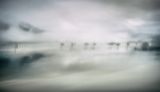 <br>Valerie Payne<br>2023 January<br>London Drugs Canvas Print<br>Creative or Altered Reality<br>Impressions of Cowichan Bay