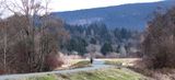 <br>Carl Erland<br>Somenos Marsh-Somenos Lake Field Trip<br>January 2023<br>South Side Dike Trail