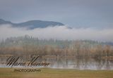 <br>Maria Hansen<br>January 2023<br>Low Clouds Along the Marsh