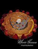 <br>Maria Hansen<br>January 2023<br>Royal Cheesecake