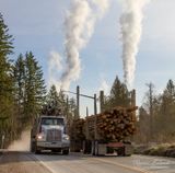 <br>Racine Erland<br>Crofton Field Trip<br>January - February, 2023<br>Hauling the Logs to the Mill