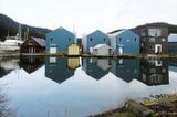 <br>Marilyn Jeffries<br>Maple Bay/Genoa Bay<br>February-March 2023<br>Still Life<br>