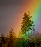 <br>Racine Erland<br>CAPA 2023 Canada My Country<br>Land of Rainbows