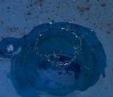 <br>Carl Erland<br>2023 Summer Challenge<br>July: Close up or Macro - #4 Water Droplets<br>Plop