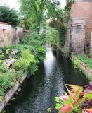 <br>Willie Harvie<br>July 2023<br>Brugge canal