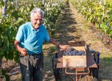 <br>Carl Erland<br>Cowichan Wineries<br>Field Trip-Sept 18-30, 2023<br>Proud Grape Grower