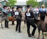 <br>Willie Harvie<br>Field Trip Sept. 2023<br>Cowichan Exhibition<br>Waiting to Compete 