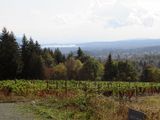 <br>Willie Harvie<br>Cowichan Wineries<br>Field trip - Sept. 18 - 30, 2023<br>Valley View