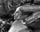 <br>Martha Aguero<br>2023 October<br>London Drugs Print<br>Reminiscence of Yesteryear<br>Flying Lady Hood Ornament<br>Winner