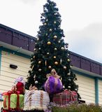 <br>Carl Erland<br>Christmas Decorations<br>Field Trip - Nov 19- Dec 2, 2023<br>Hospital Auxillery Tree and Presents