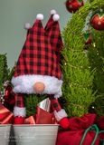 <br>Racine Erland<br>Christmas Decorations<br>Field Trip - Nov19-Dec2, 2023<br>Gnome Tree