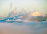 <br>Willie Harvie<br>November 2023<br>Above the Fog
