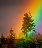 <br>Racine Erland<br>2024 CAPA Colour<br>Blessed with Rainbows