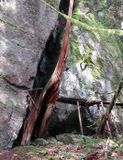 <br>Willie Harvie<br>Evening Favourites - Elements<br>April 2024<br>Bridge to Nowhere