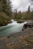 <br>Claus Madsen<br>Rivers<br>Field Trip April 1 - 14th,2024 <br>Cowichan River At Skutz Falls<br>