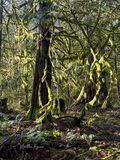 <br>Martha Aguero<br>February 2024<br>At Cobble Hill Mountain<br>