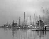 <br>Carl Erland<br>2024 April<br>London Drugs Canvas Print<br>Theme:  Weather<br>Fog and Mist<br>Winner