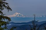 <br>Carl Erland<br>June 2024<br>Mount Baker