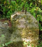 <br>Willie Harvie<br>Mining Theme - Day Trip Newcastle Island<br>Field Trip July 16 - 31, 2024<br>Old Foundations