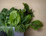 <br>Racine Erland<br>Farm Vittles - Aug. 16 - 31, 2024 <br>Garden Greens