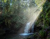 <br>Ed Taje<br>2024 September<br>London Drugs Canvas Print<br>Theme: Sun Effects<br>Rays Coming Through<br>Winner
