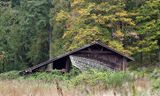 <br>Willie Harvie<br>October 2024<br>Abandoned Shed