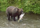 <br>Jan Heerwagen<br>August 2024<br>Another Successful Catch