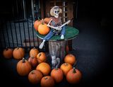 <br>Carl Erland<br>October 2024<br>Singing Around the Pumpkins