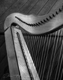 <br>Jan Heerwagen<br>Churches & Graveyards - October 1-16 2024<br>The Church Harp