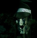 <br>Racine Erland<br>Halloween-Fall  Oct 17-31, 2024<br>Must be the season of the witch. 